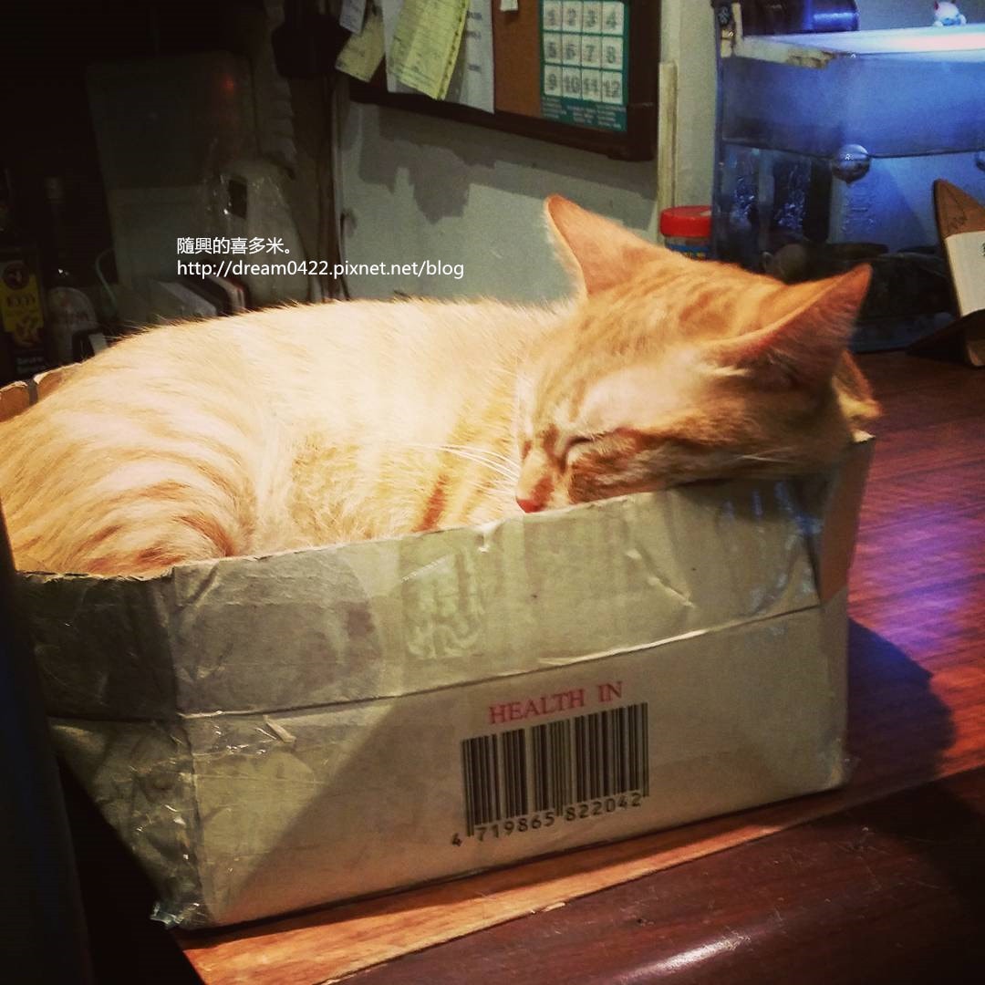 20251113-5aoib 20251113-5aoib