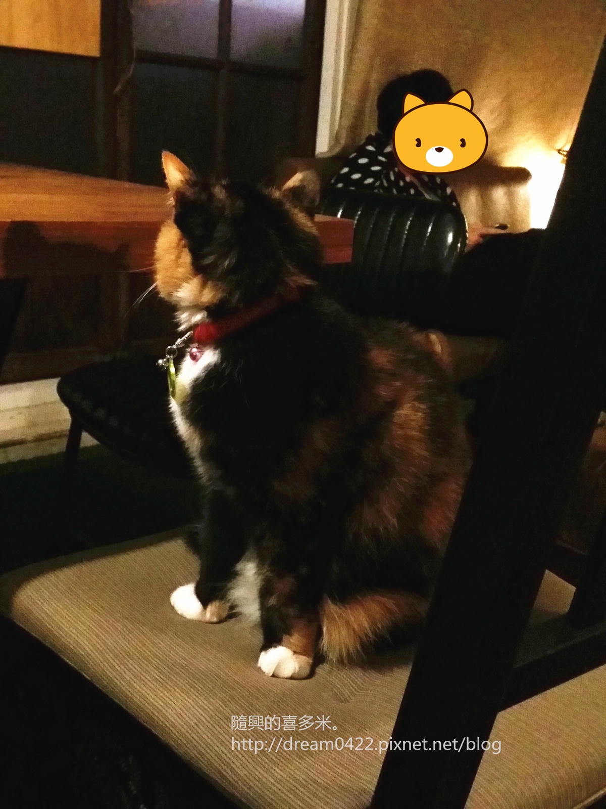 20251113-nq2a1 20251113-nq2a1