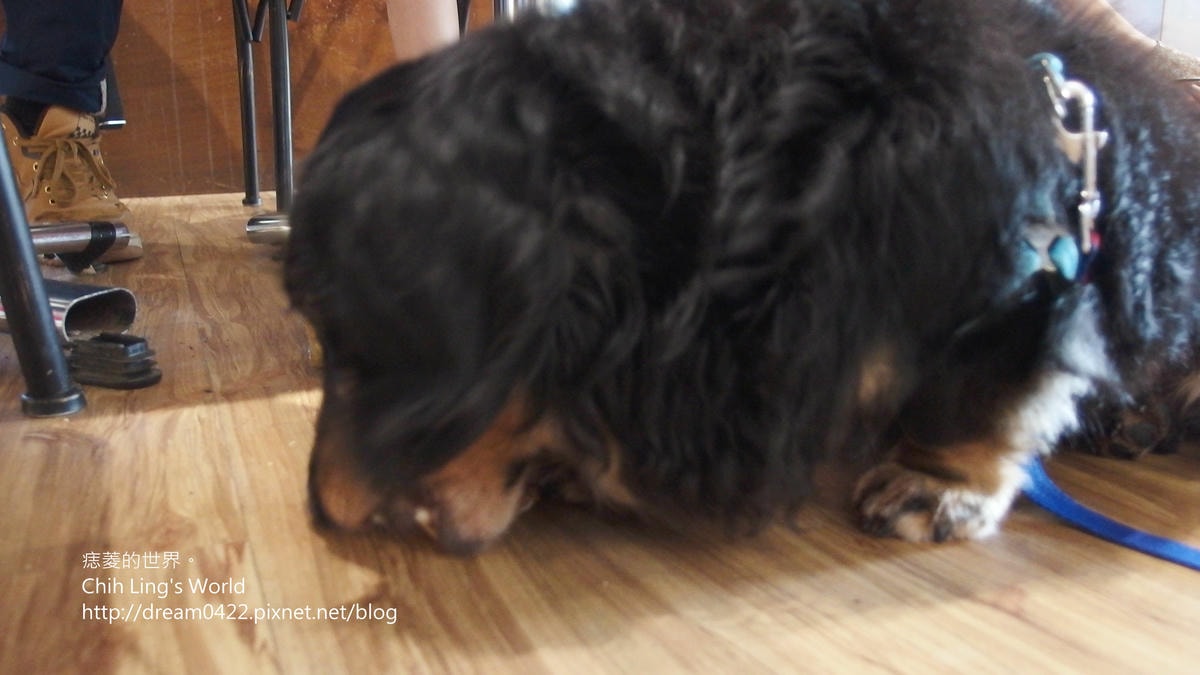 20251113-3h6jq 20251113-3h6jq