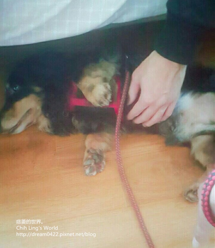 20251113-51awi 20251113-51awi