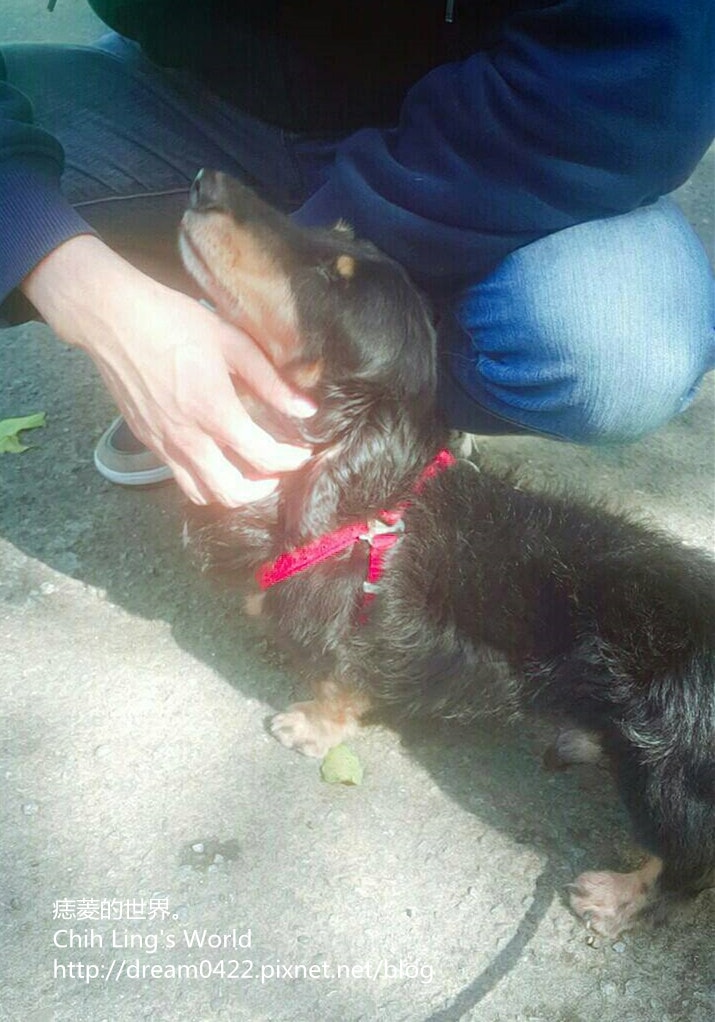 20251113-txmm5 20251113-txmm5