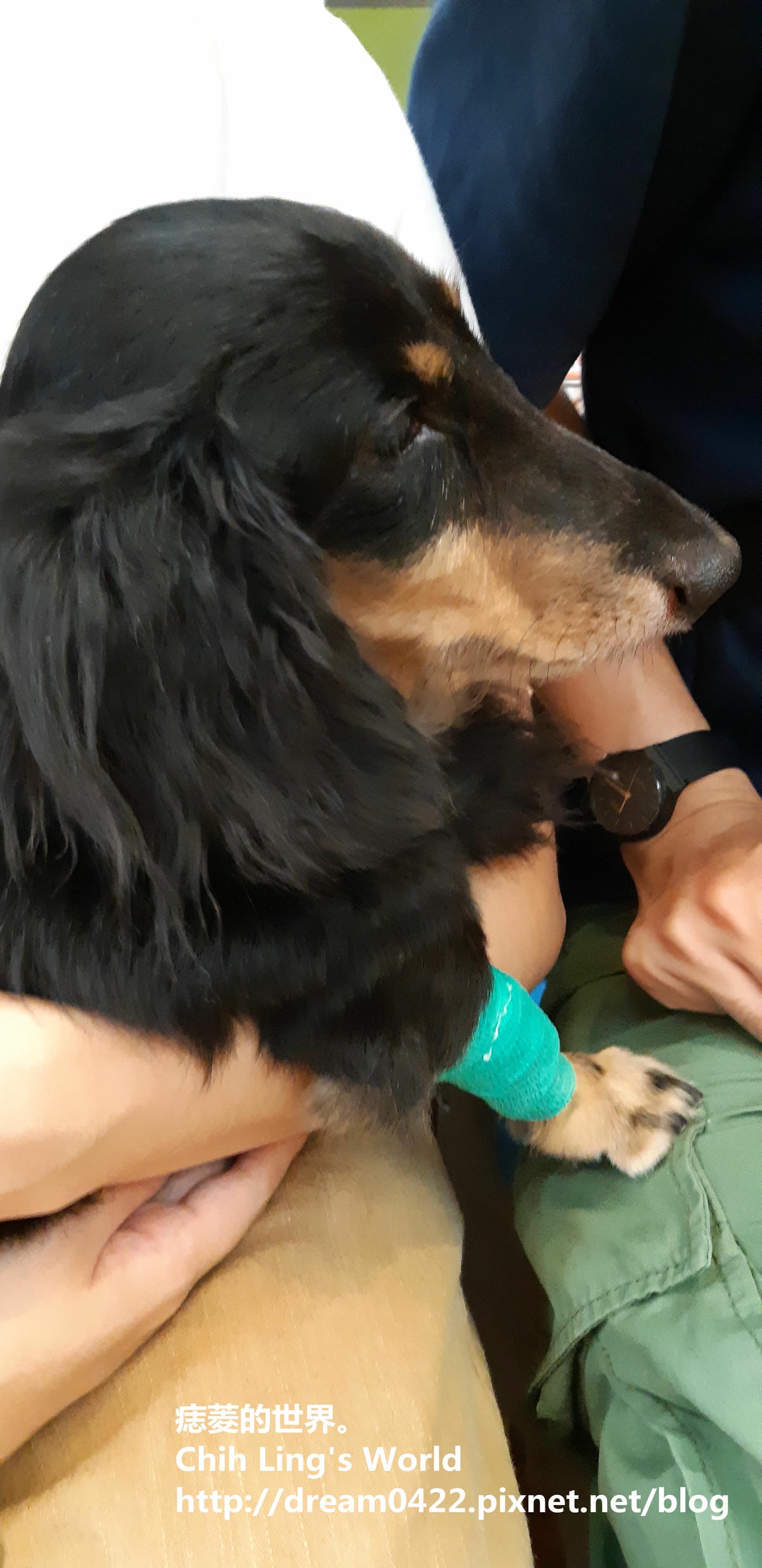 20251113-o6gxe 20251113-o6gxe