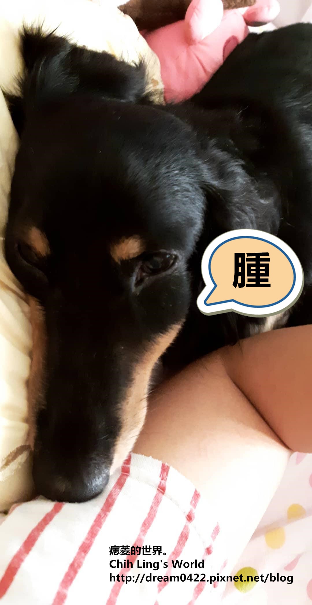 20251113-t2xwr 20251113-t2xwr