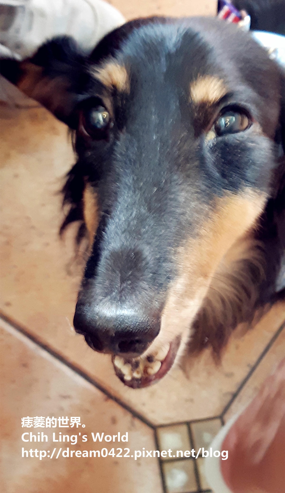 20251113-vjaxs 20251113-vjaxs