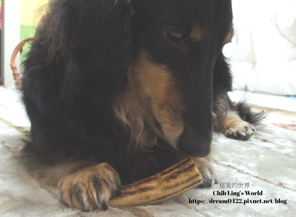 20251113-3etpk 20251113-3etpk