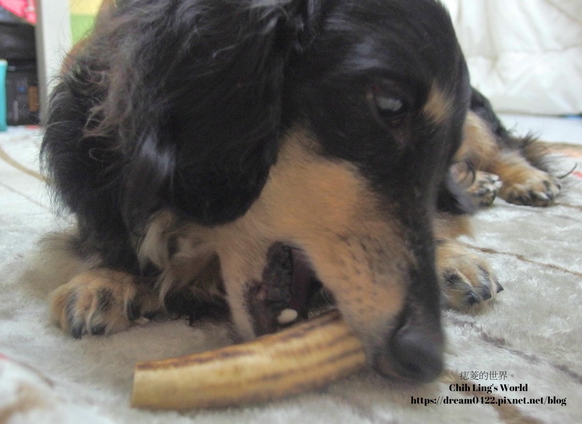 20251113-jwyri 20251113-jwyri