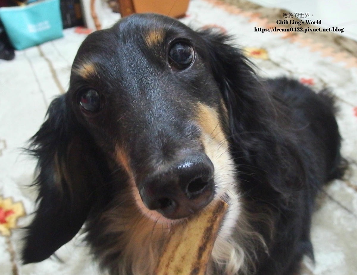 20251113-z5guz 20251113-z5guz