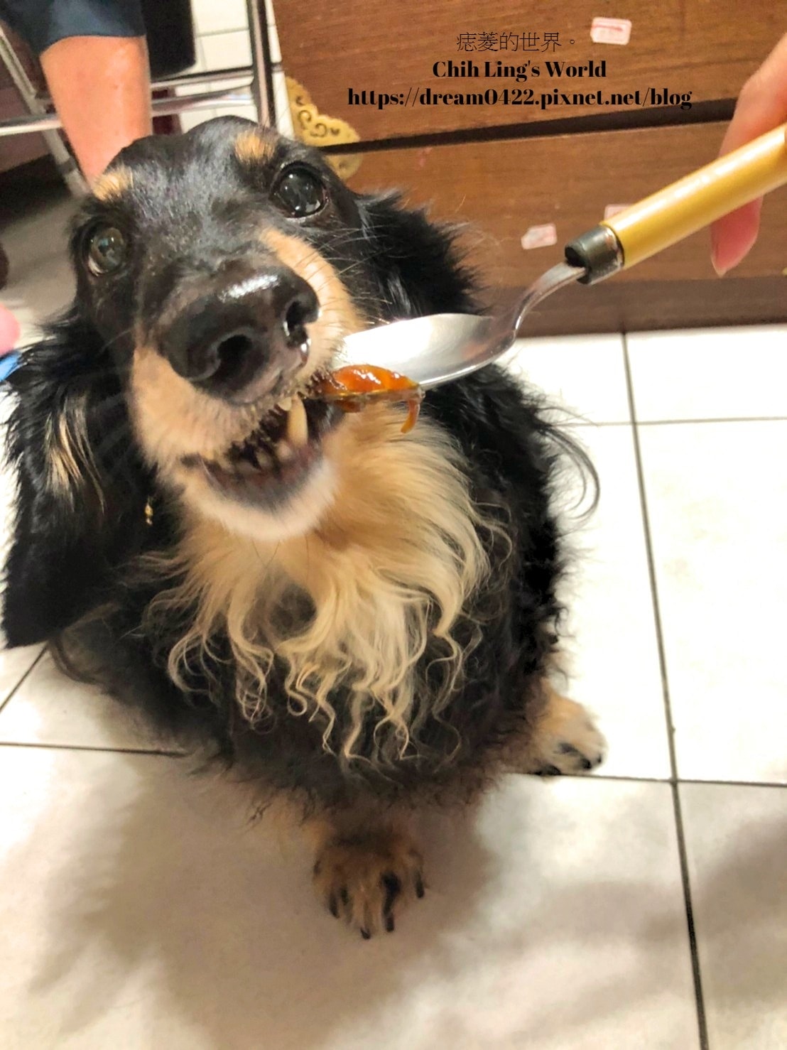 20251113-hvnse 20251113-hvnse