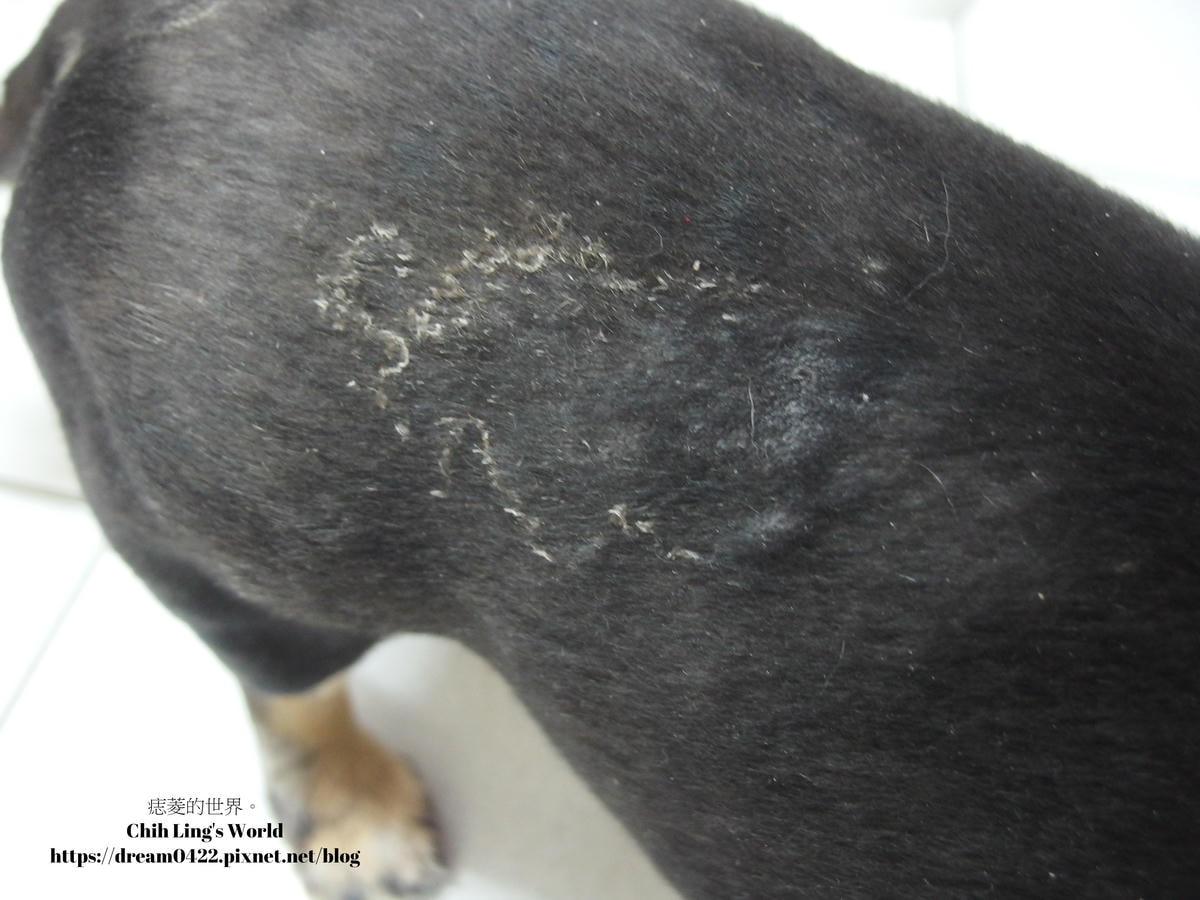 20251113-agn59 20251113-agn59