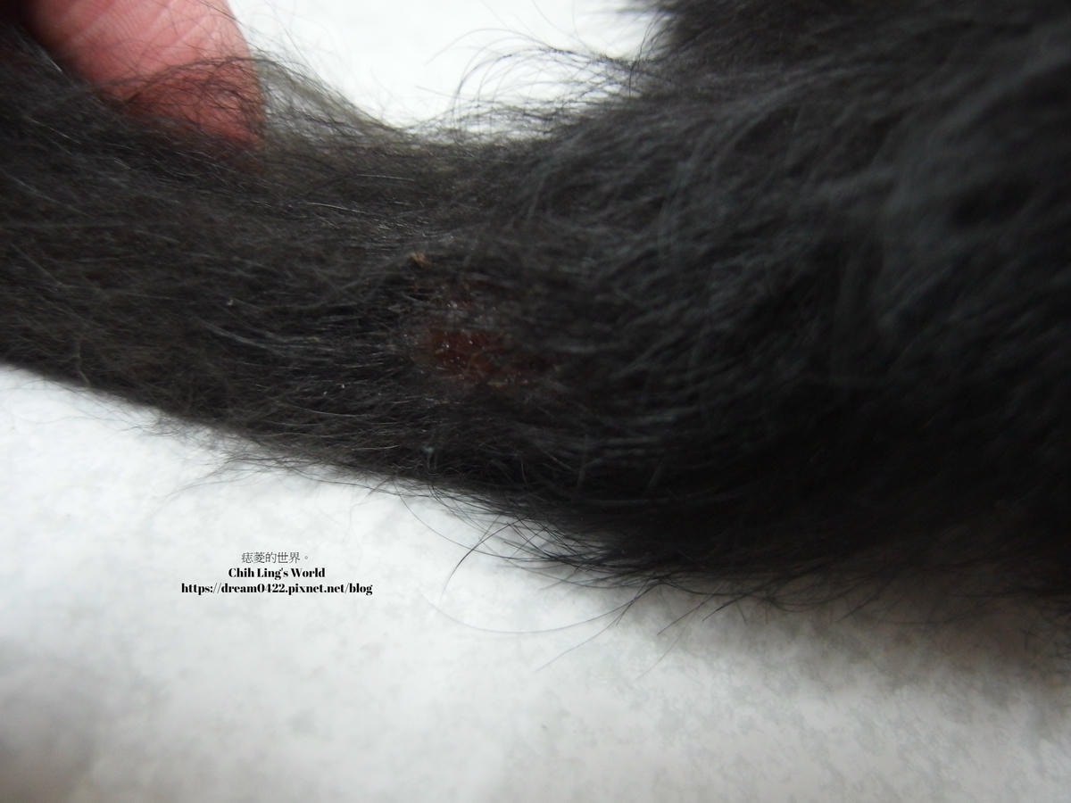 20251113-hy54j 20251113-hy54j