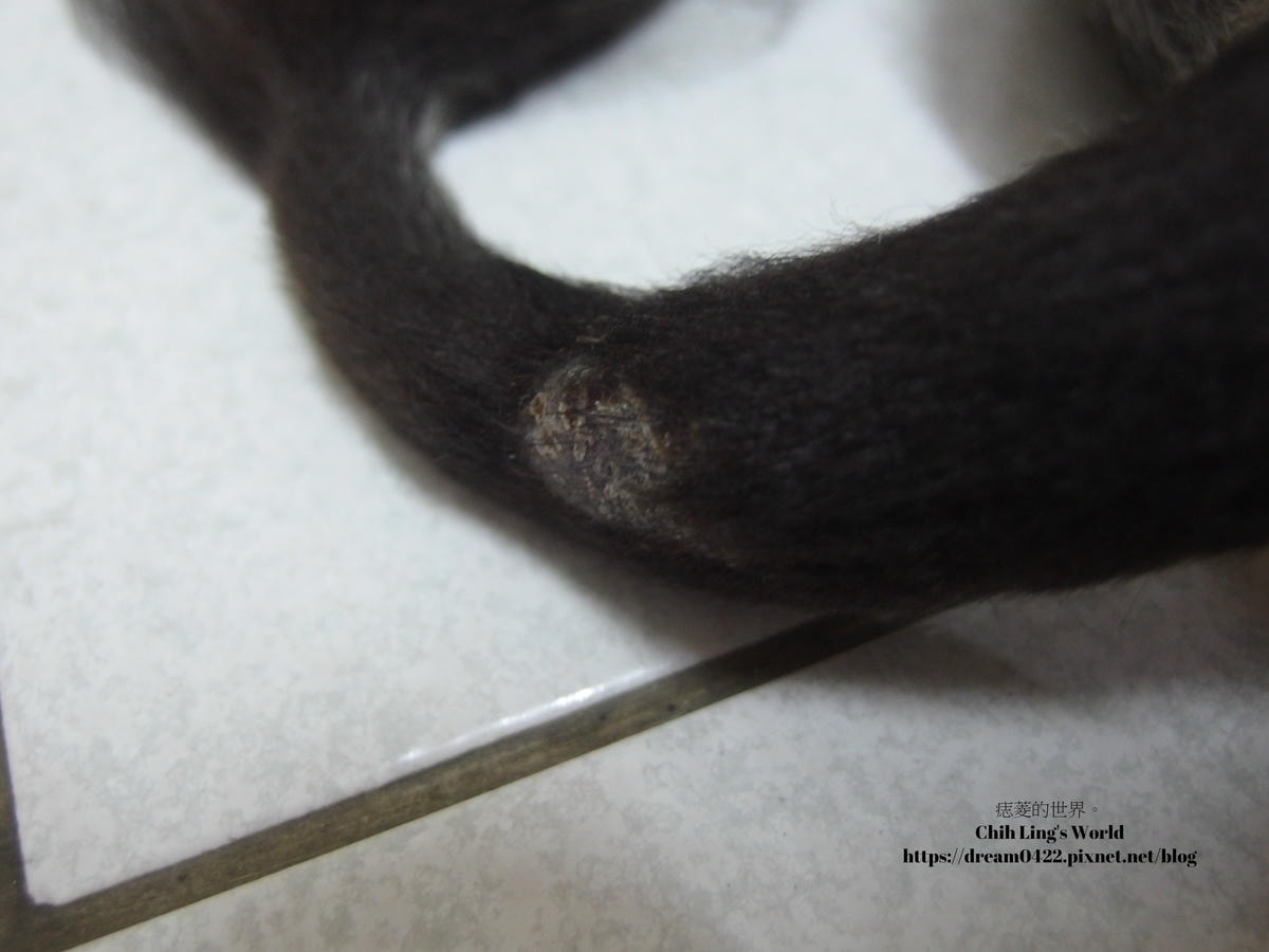 20251113-o2dpl 20251113-o2dpl