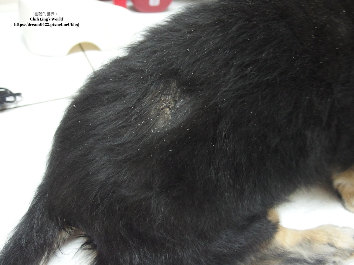 20251113-pcwbu 20251113-pcwbu