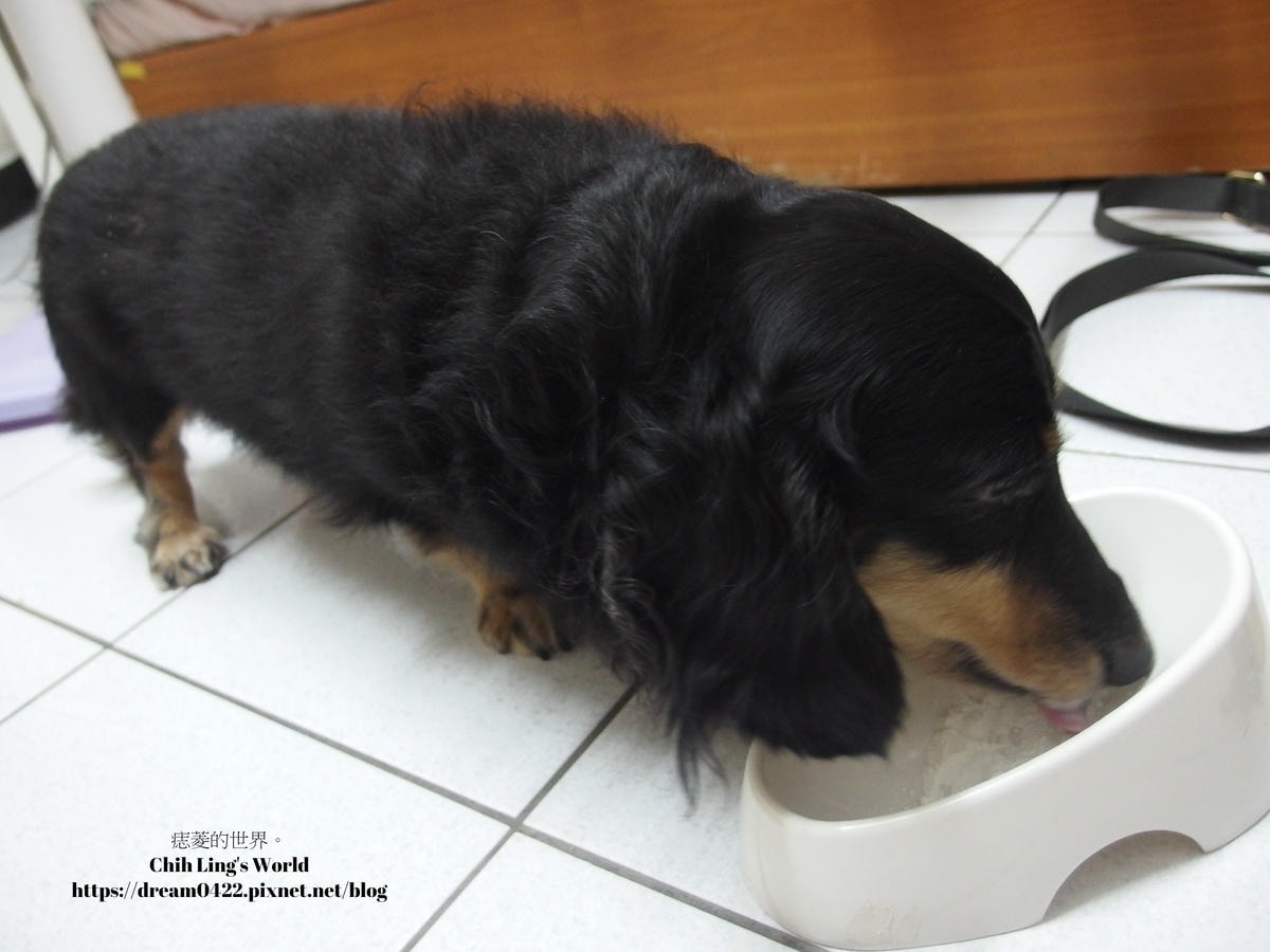 20251113-t1h6a 20251113-t1h6a