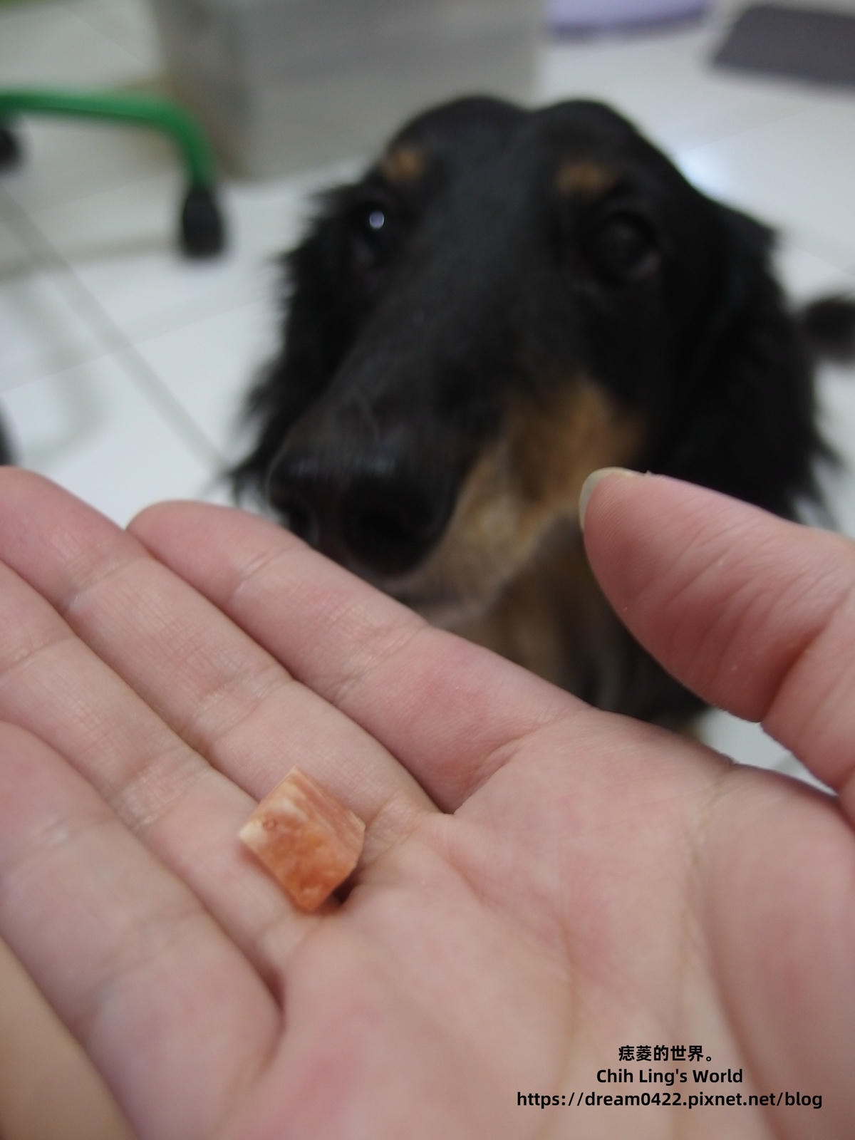 20251113-5701a 20251113-5701a