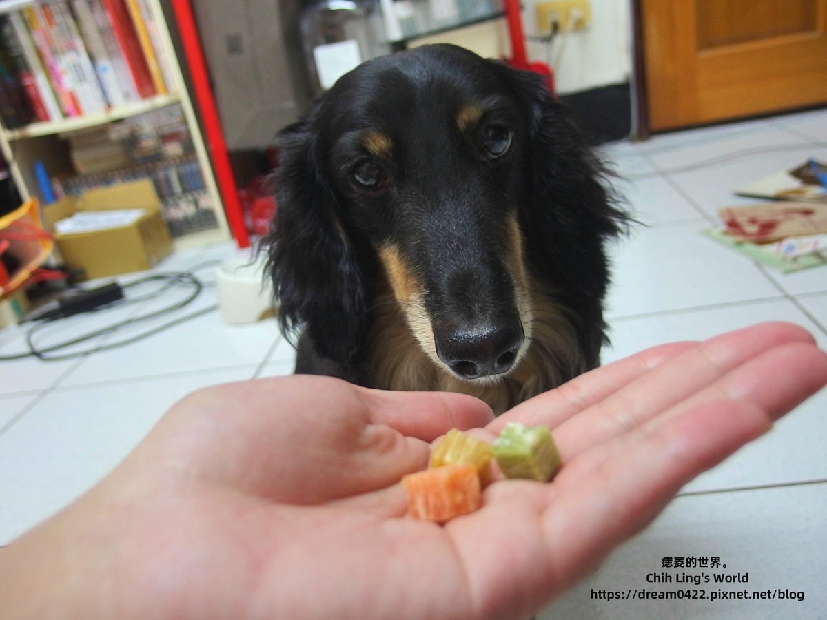 20251113-bzbnk 20251113-bzbnk