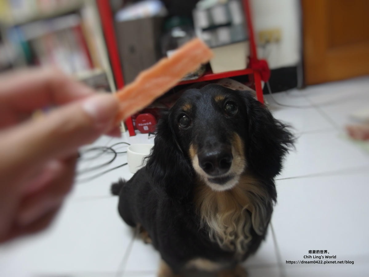 20251113-p16ad 20251113-p16ad