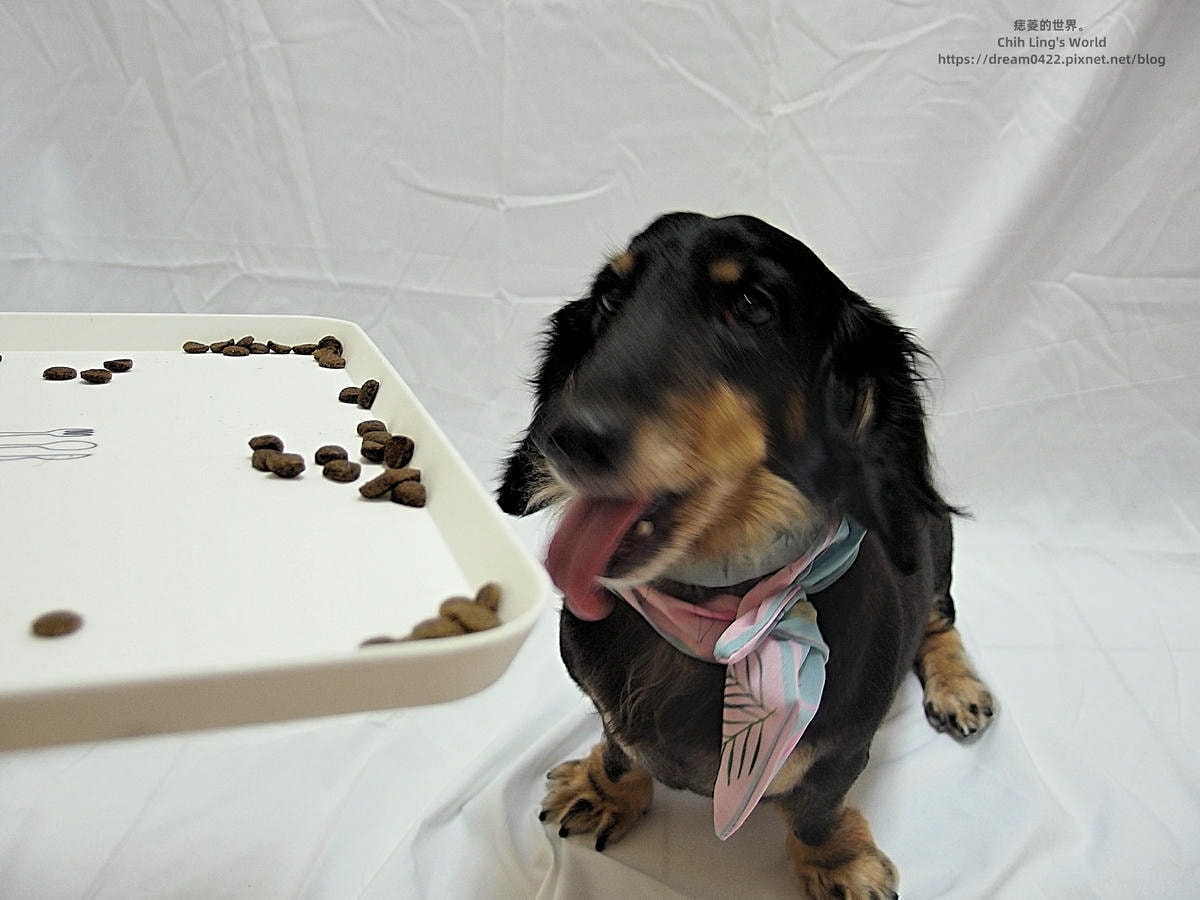 20251113-6rbno 20251113-6rbno