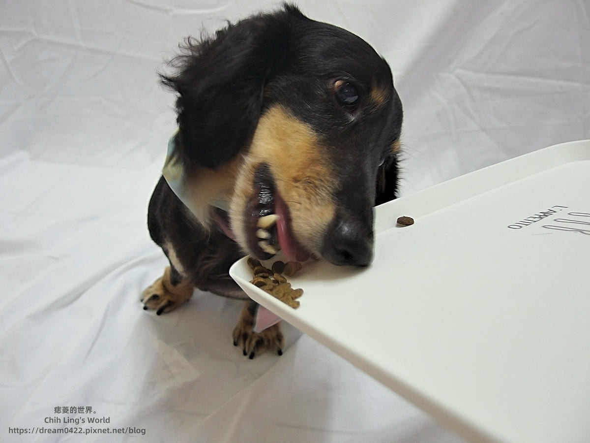 20251113-uwwwc 20251113-uwwwc