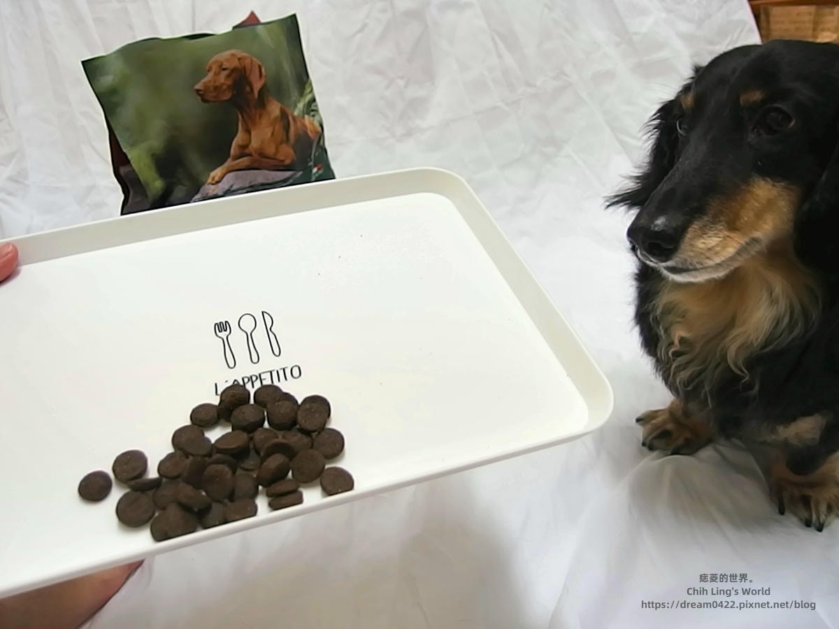 20251113-1zr4h 20251113-1zr4h