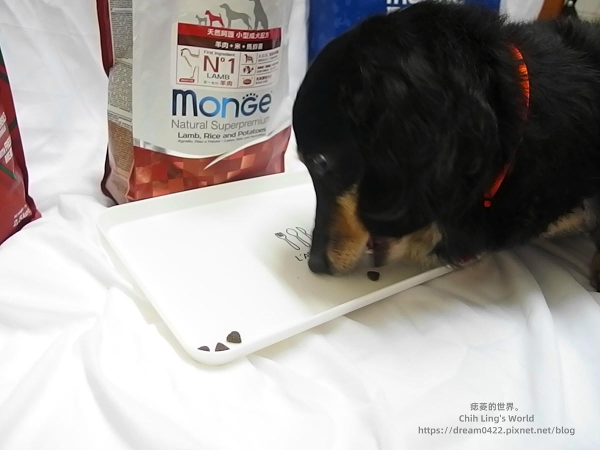 20251113-5te9a 20251113-5te9a