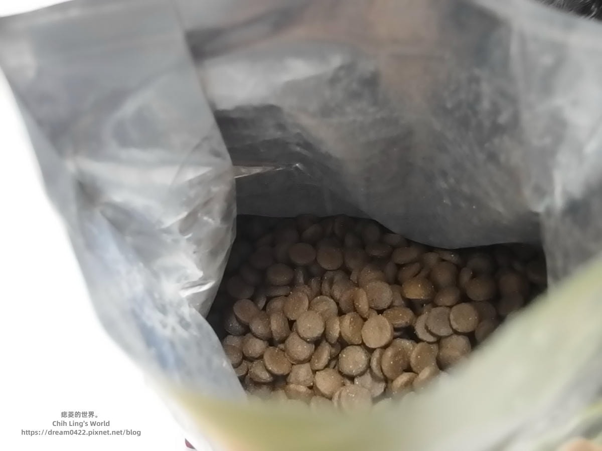 20251113-atwiw 20251113-atwiw