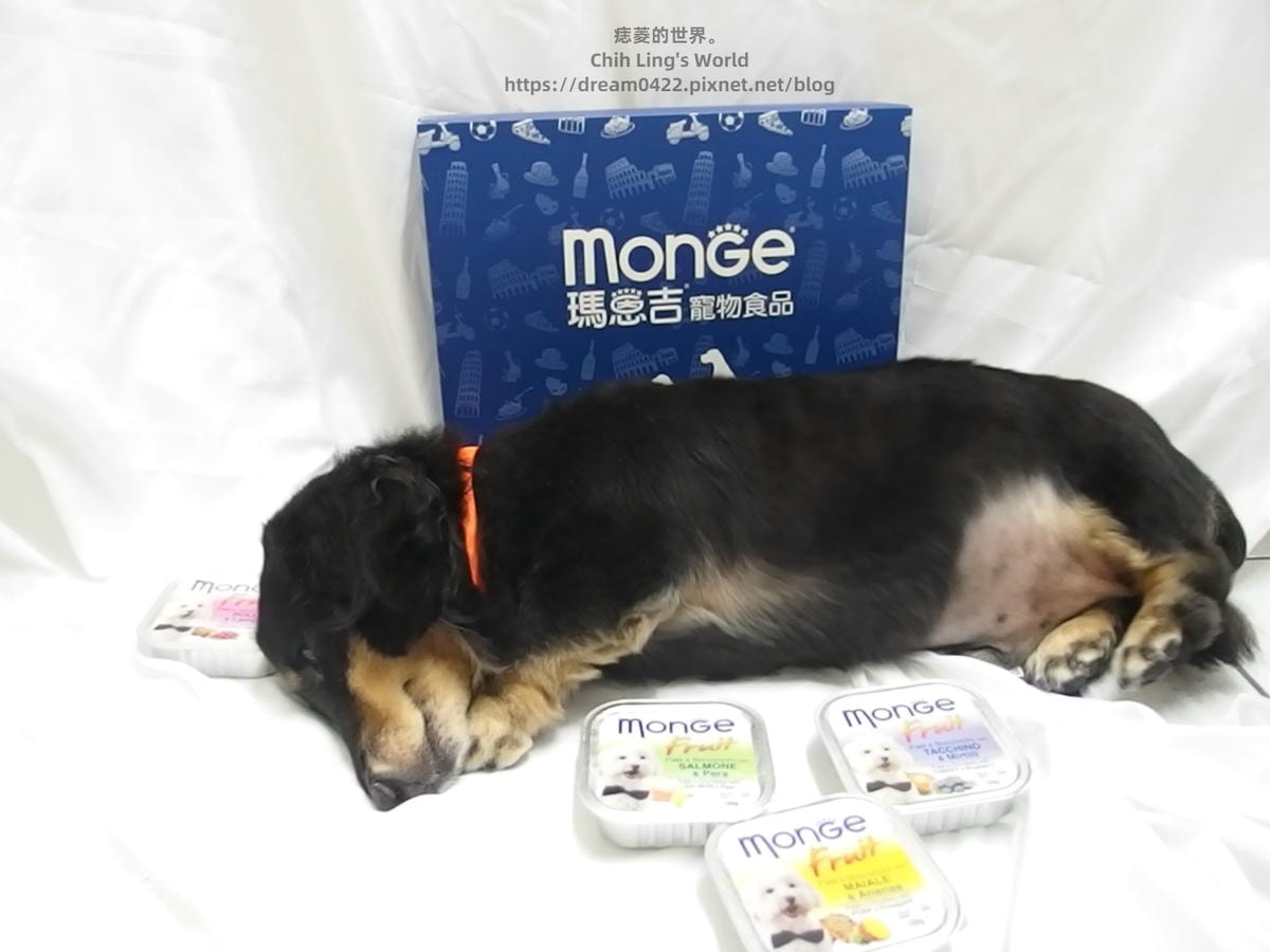 20251113-kvowo 20251113-kvowo