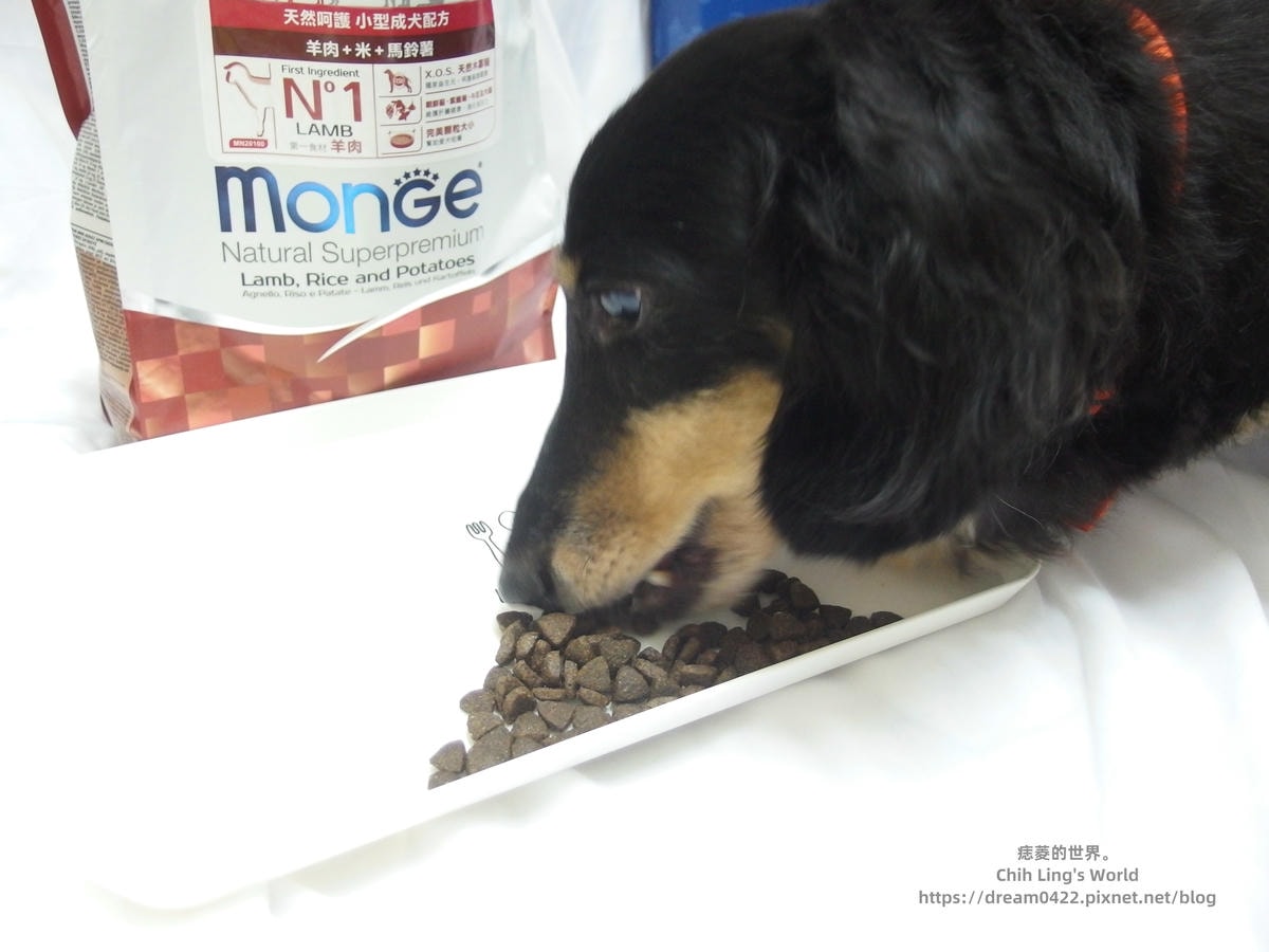 20251113-mivez 20251113-mivez