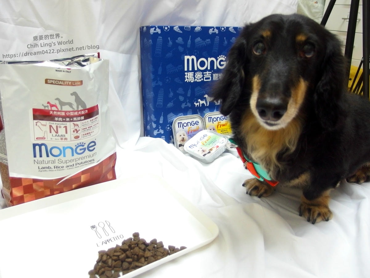 20251113-nyrjp 20251113-nyrjp