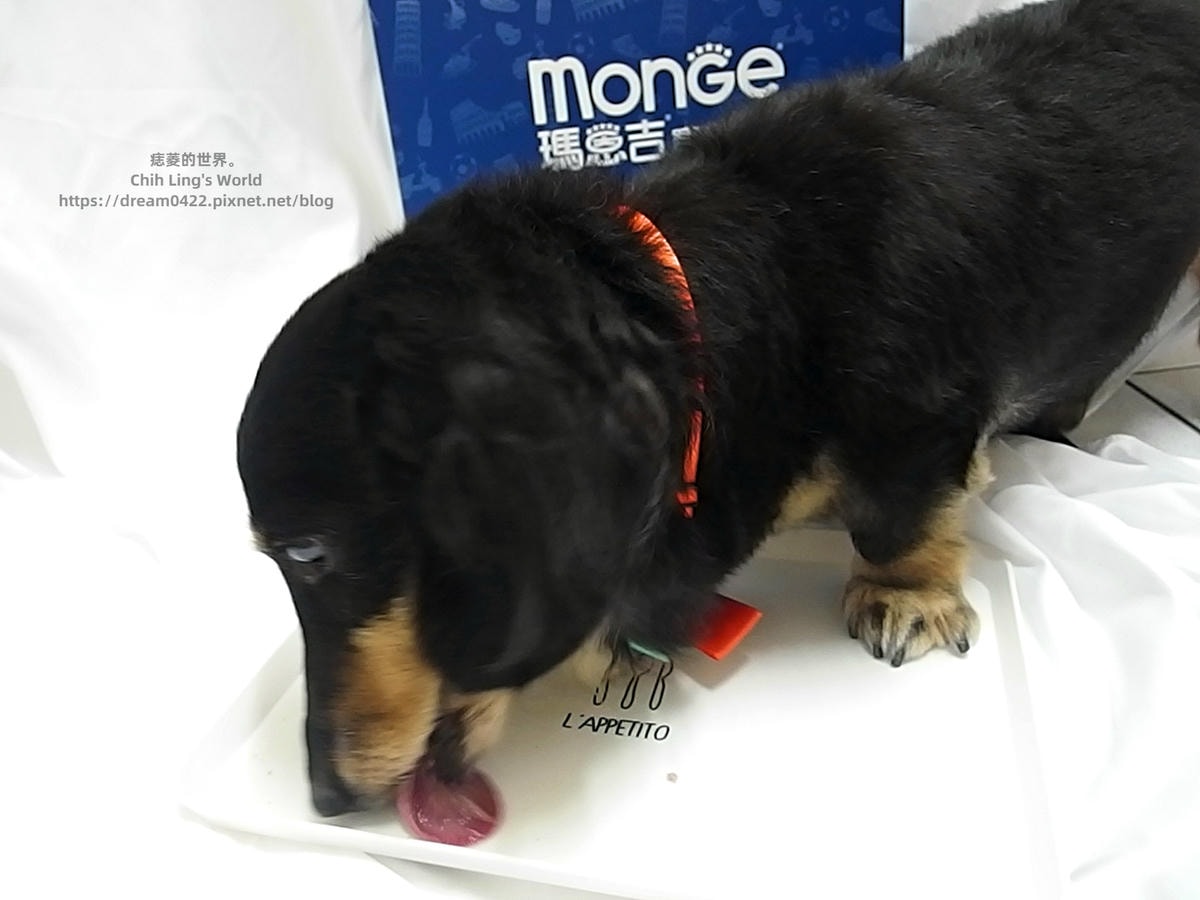 20251113-t7lgl 20251113-t7lgl