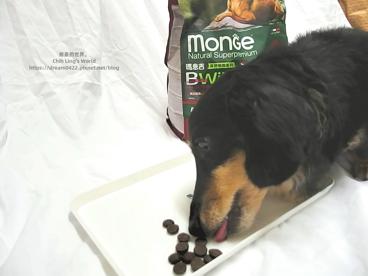 20251113-wdi2o 20251113-wdi2o