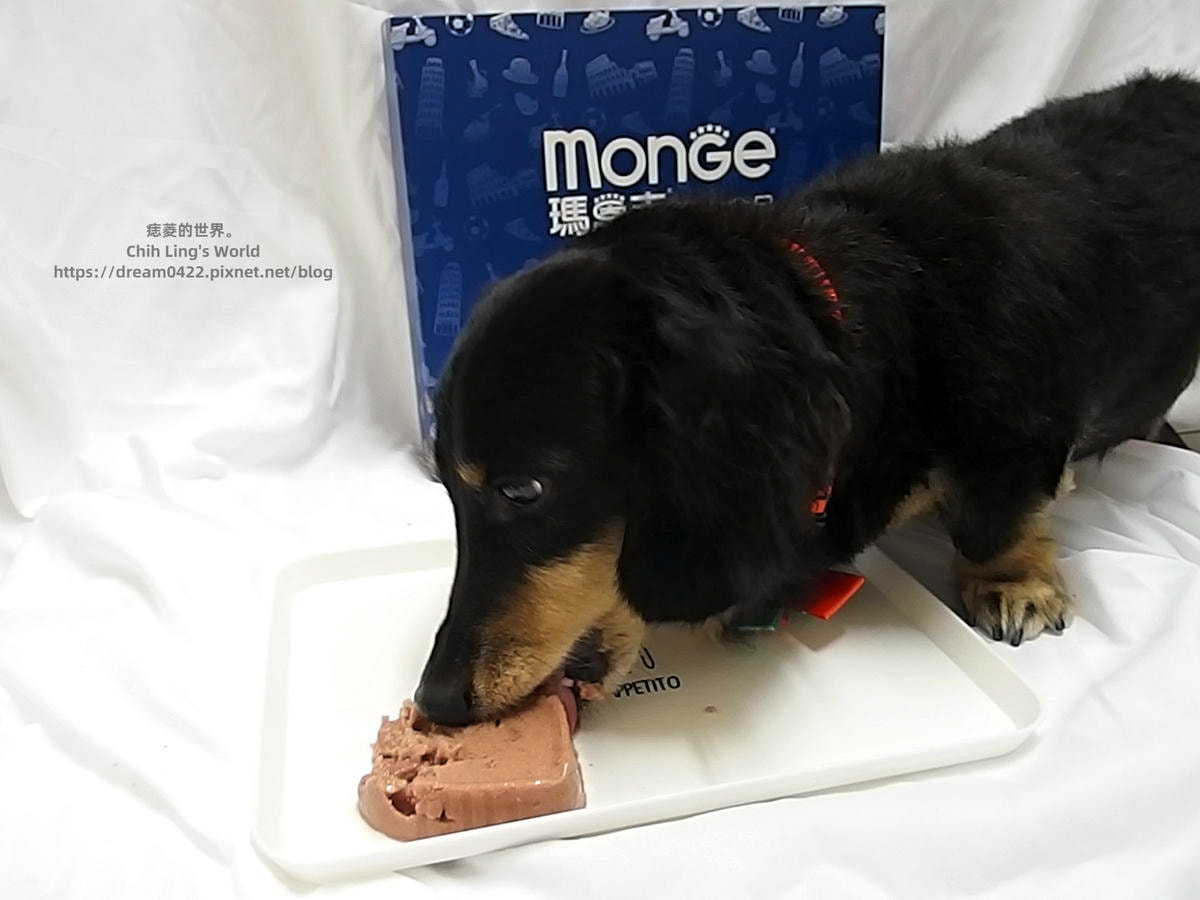 20251113-zhpy3 20251113-zhpy3