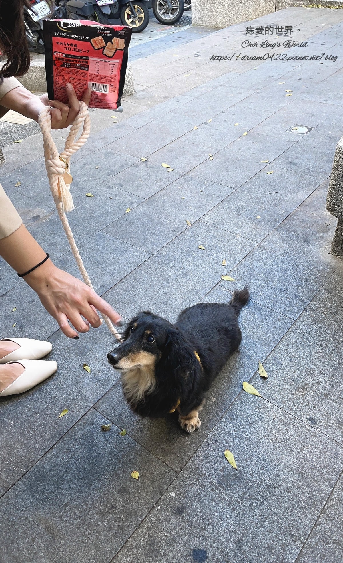 20251113-65l1j 20251113-65l1j