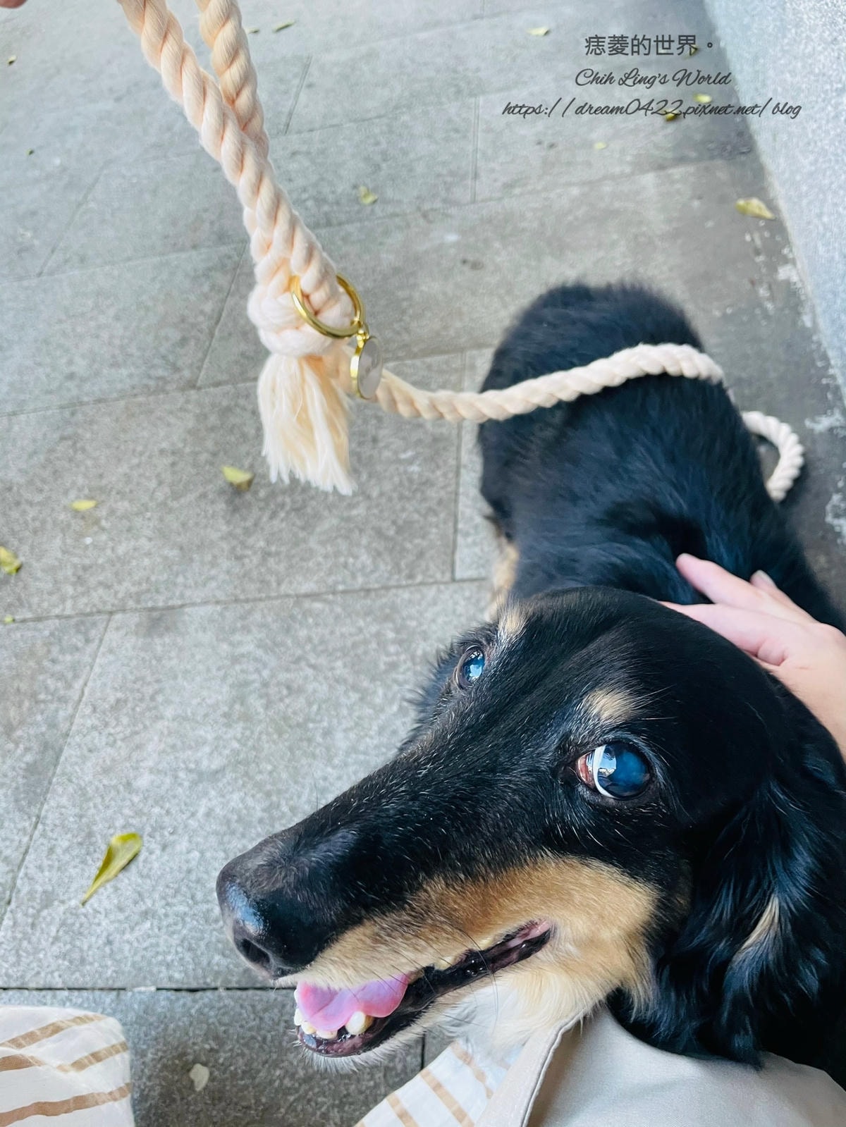 20251113-6m5bh 20251113-6m5bh