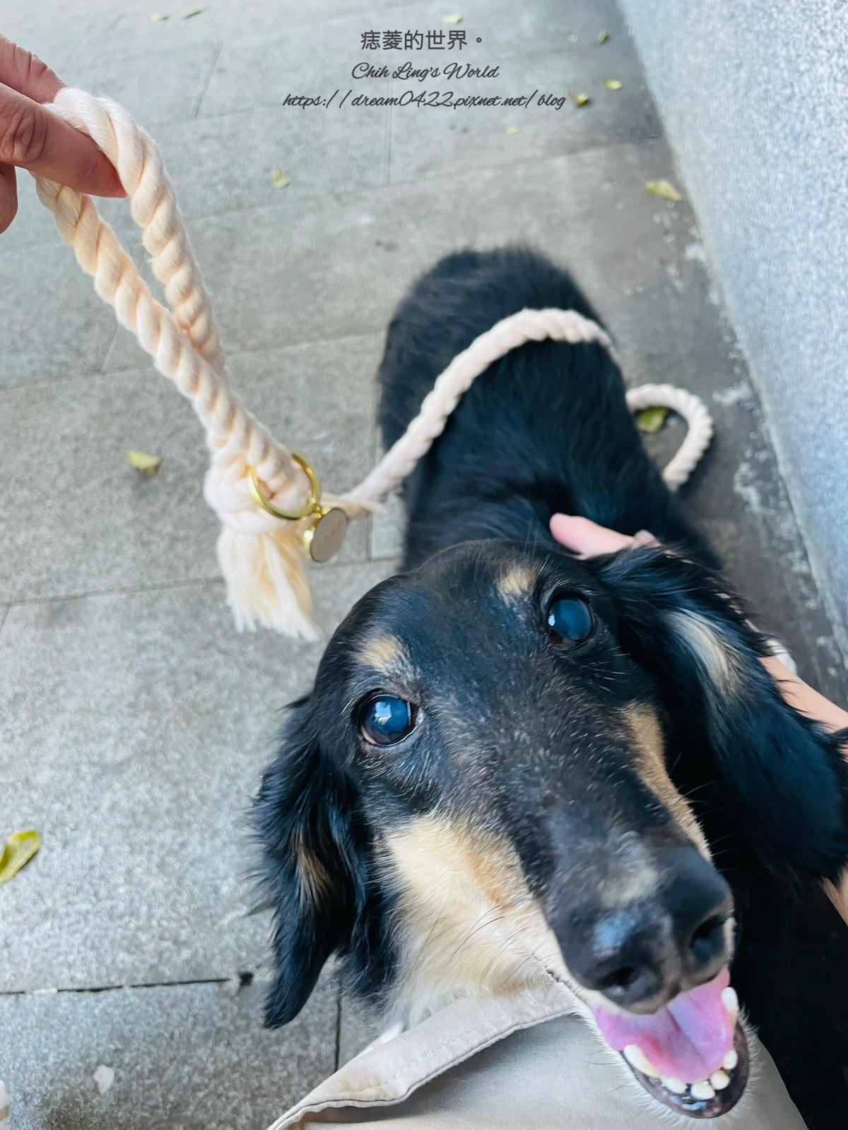 20251113-emkh7 20251113-emkh7