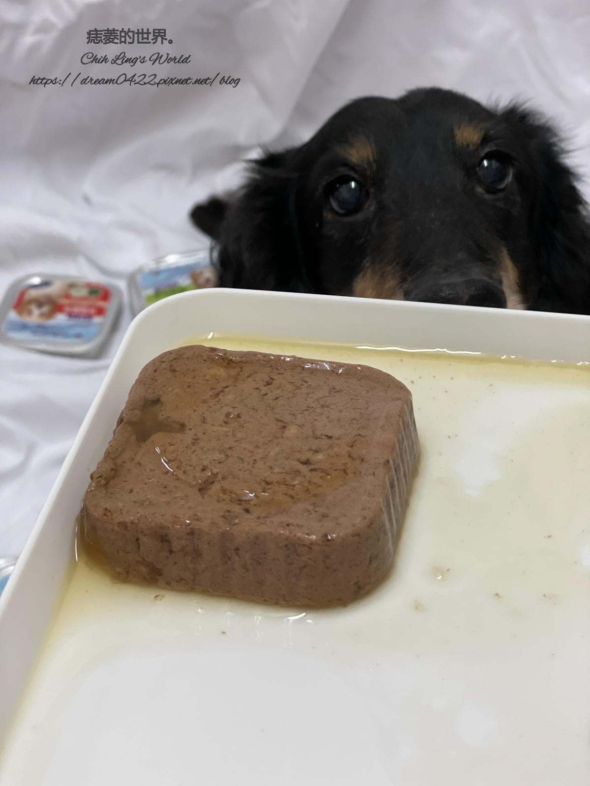 20251113-27b37 20251113-27b37