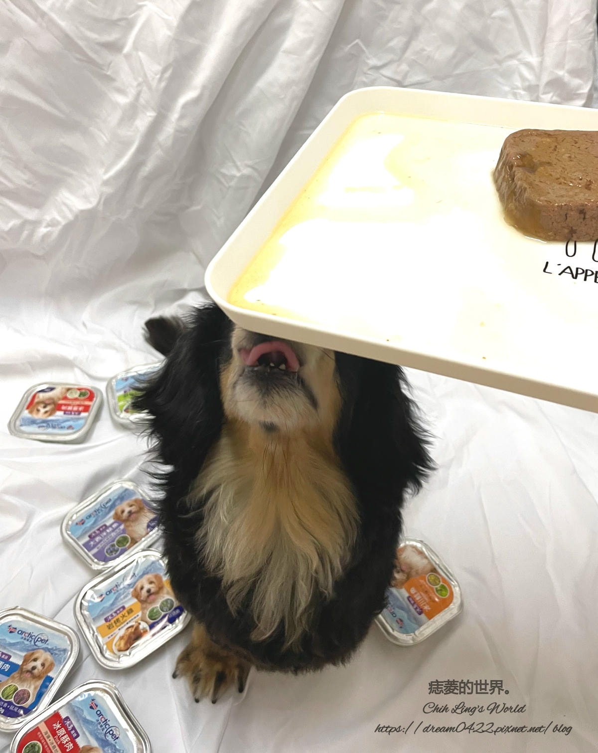 20251113-4ody1 20251113-4ody1