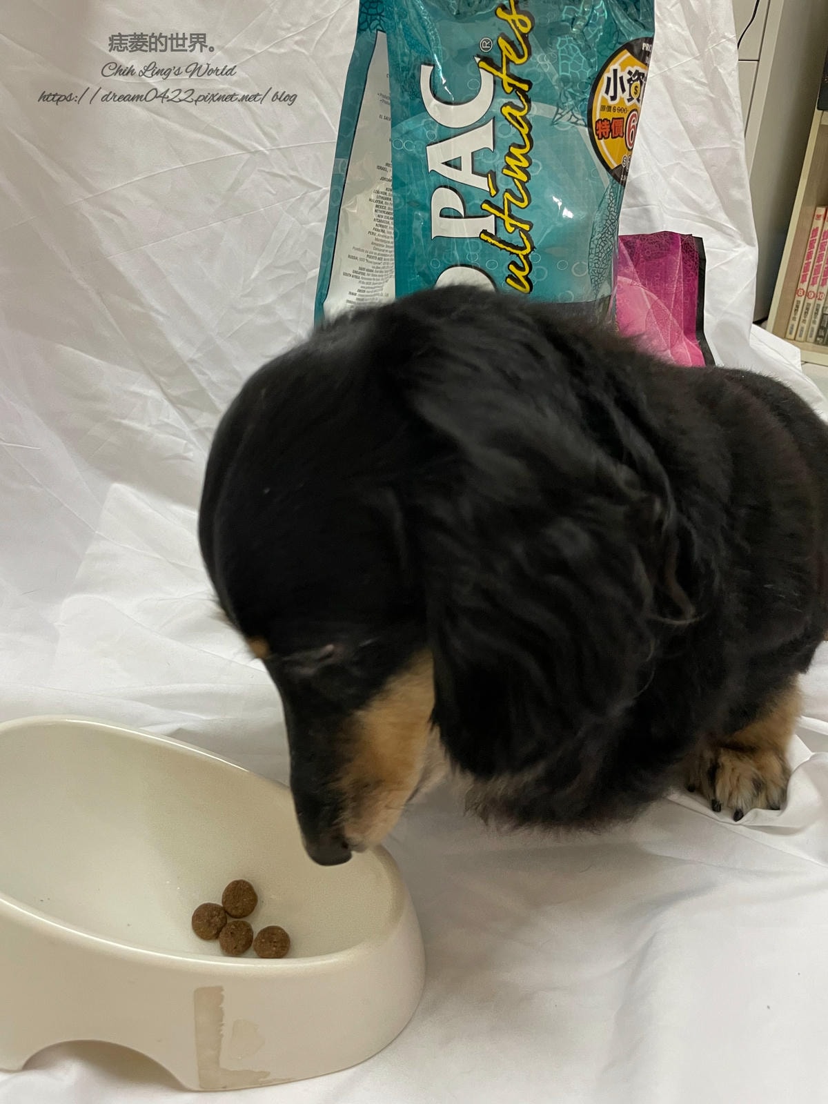 20251113-88ke2 20251113-88ke2