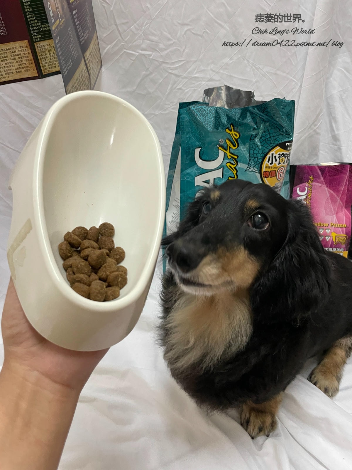 20251113-czig8 20251113-czig8