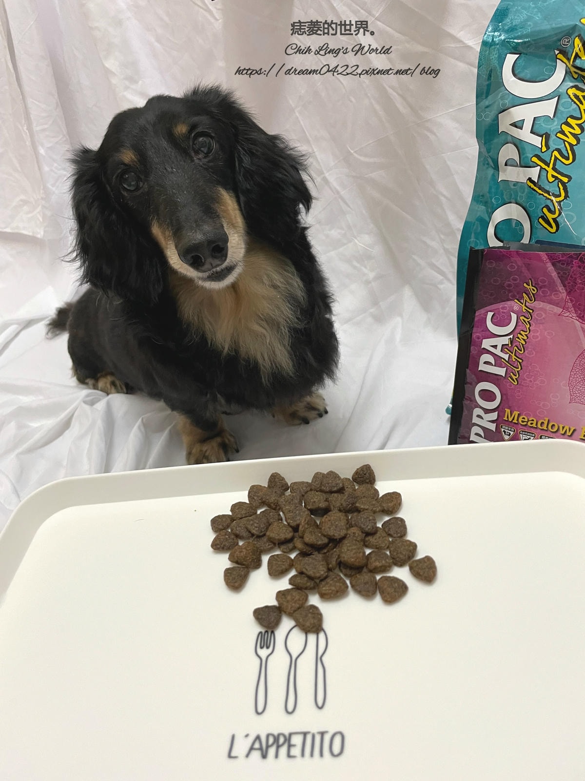 20251113-hayn5 20251113-hayn5