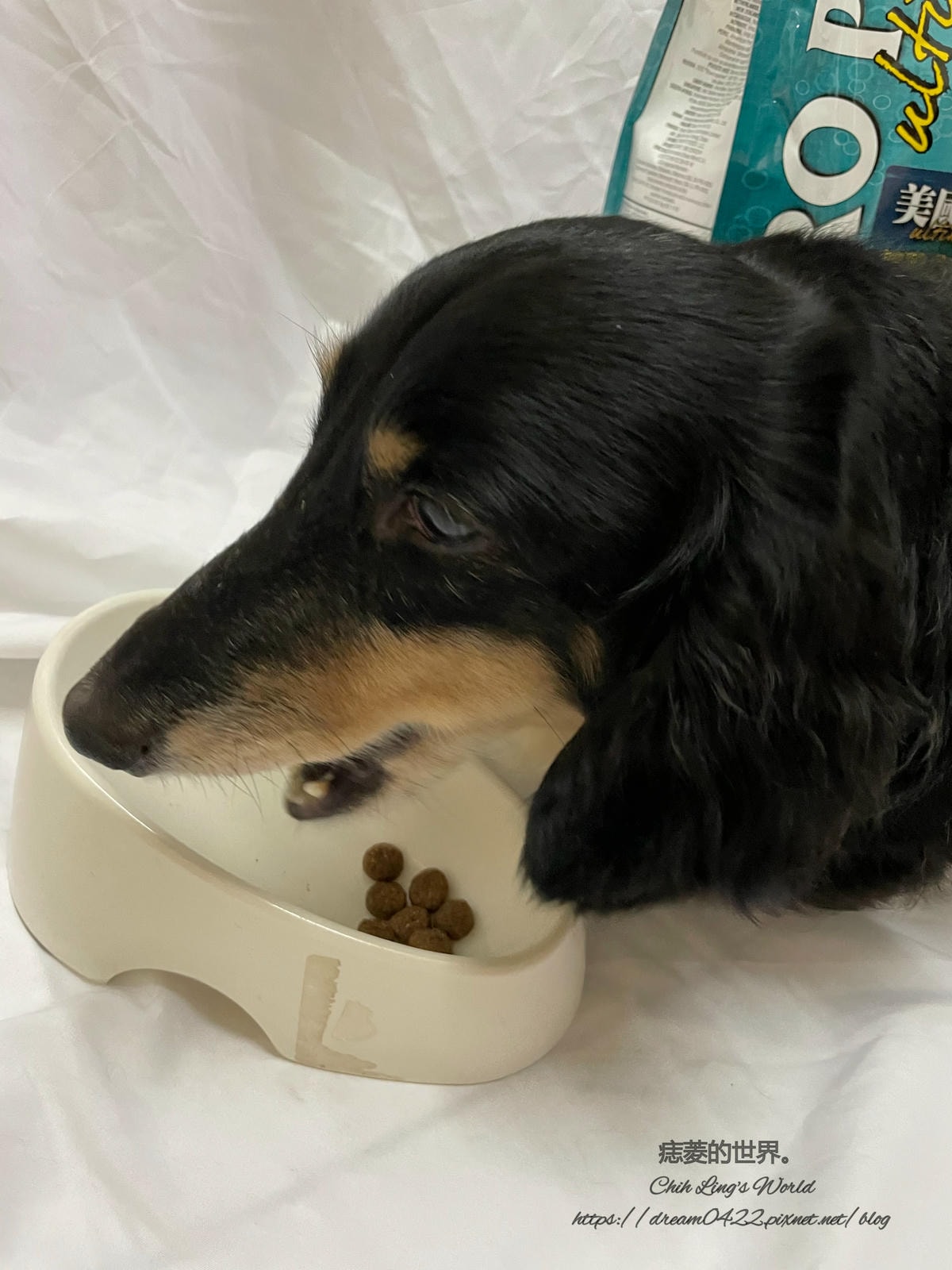 20251113-jfyl9 20251113-jfyl9