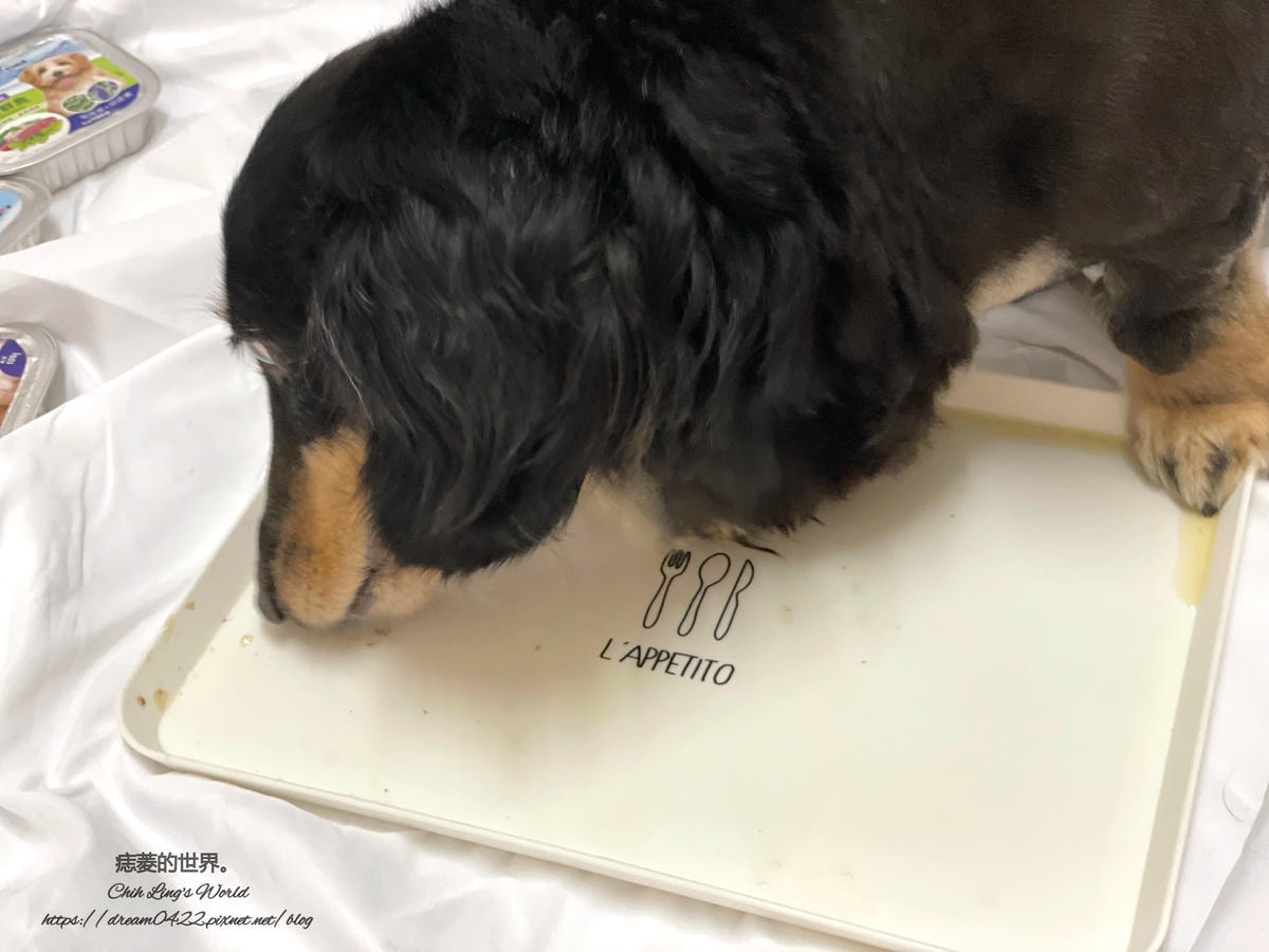 20251113-nhfkd 20251113-nhfkd