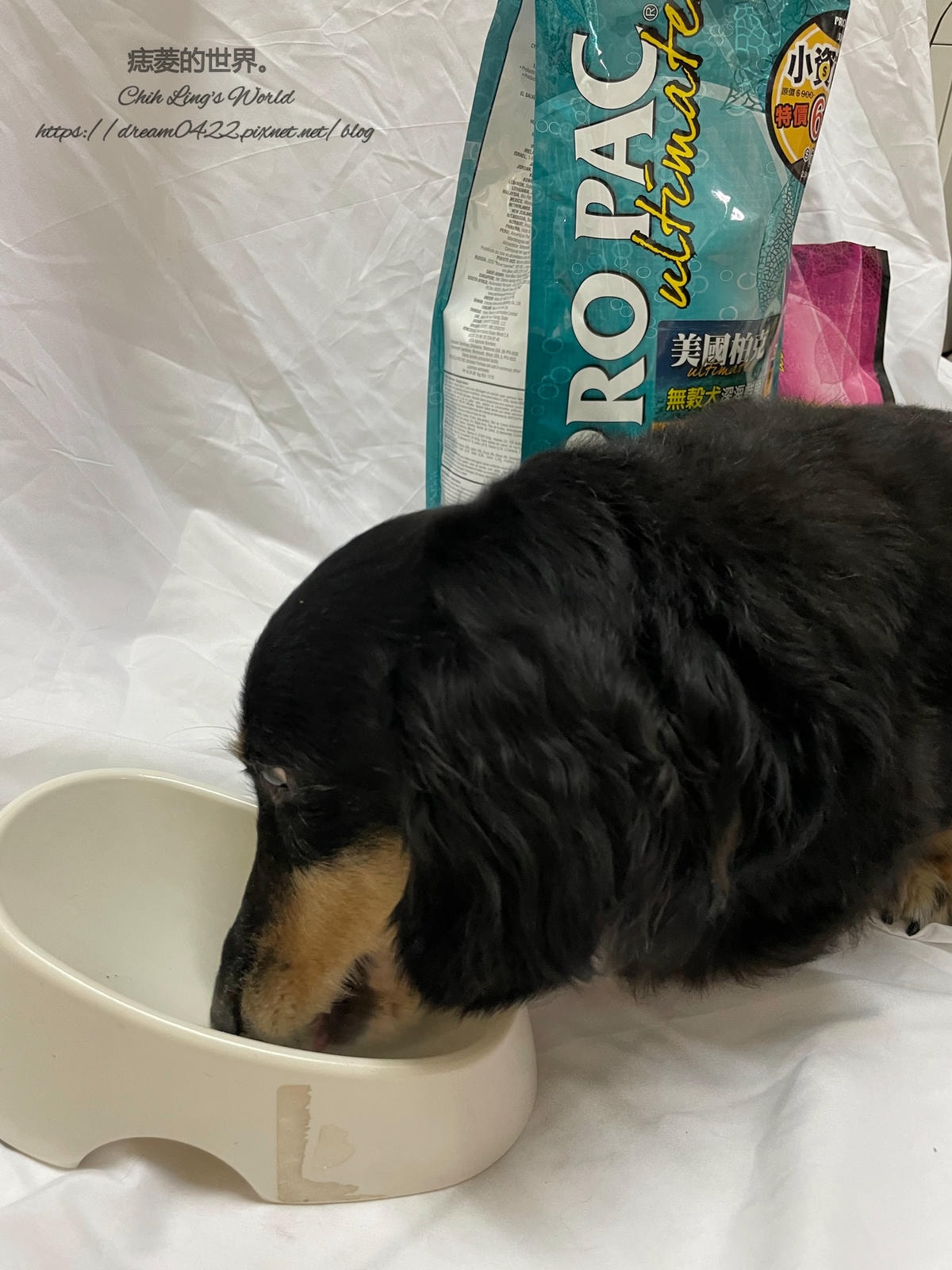 20251113-nkhzm 20251113-nkhzm