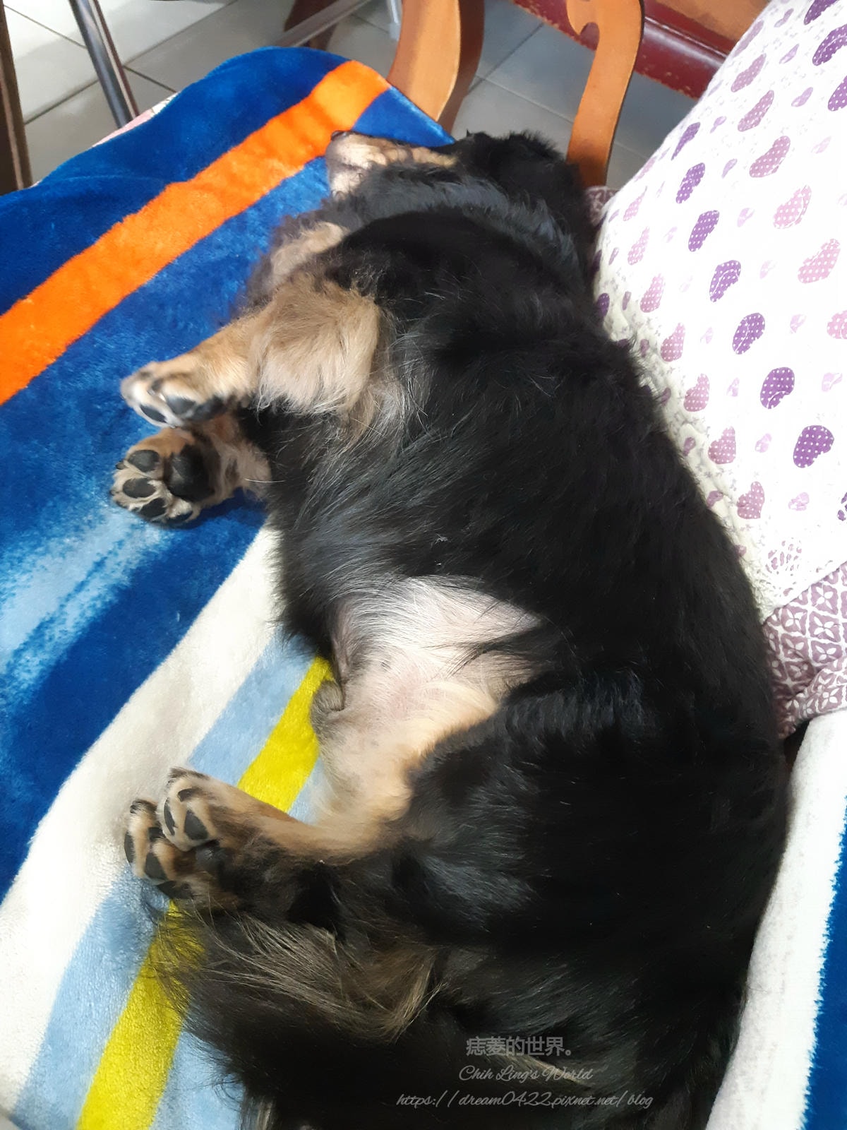 20251113-crkvn 20251113-crkvn