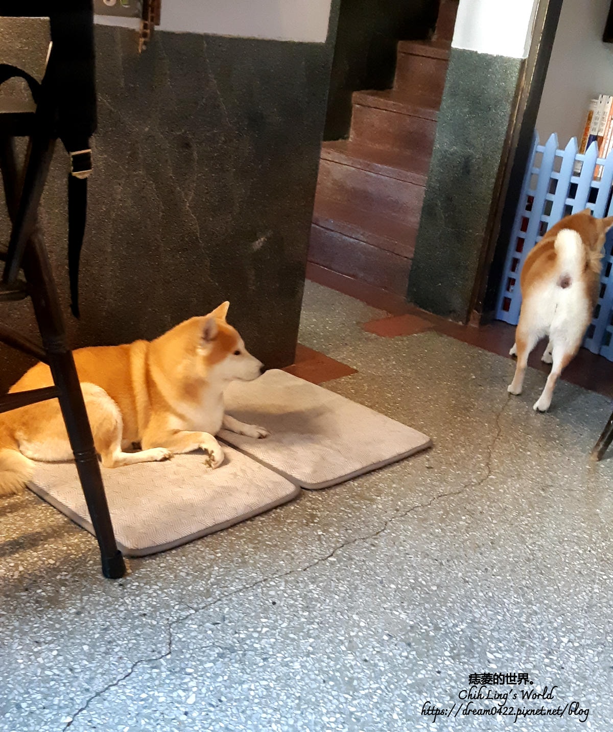 20251113-17lpj 20251113-17lpj