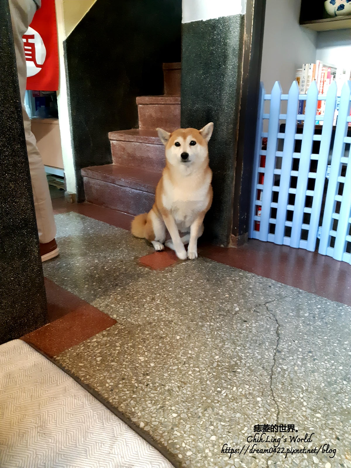 20251113-43v6e 20251113-43v6e