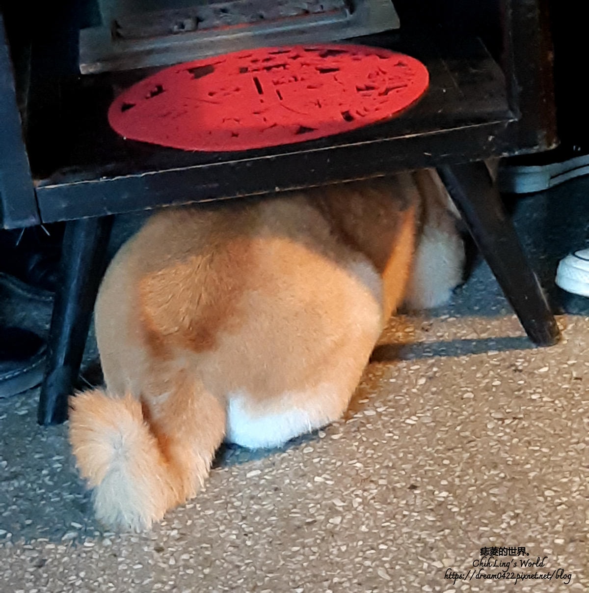 20251113-cj0k4 20251113-cj0k4