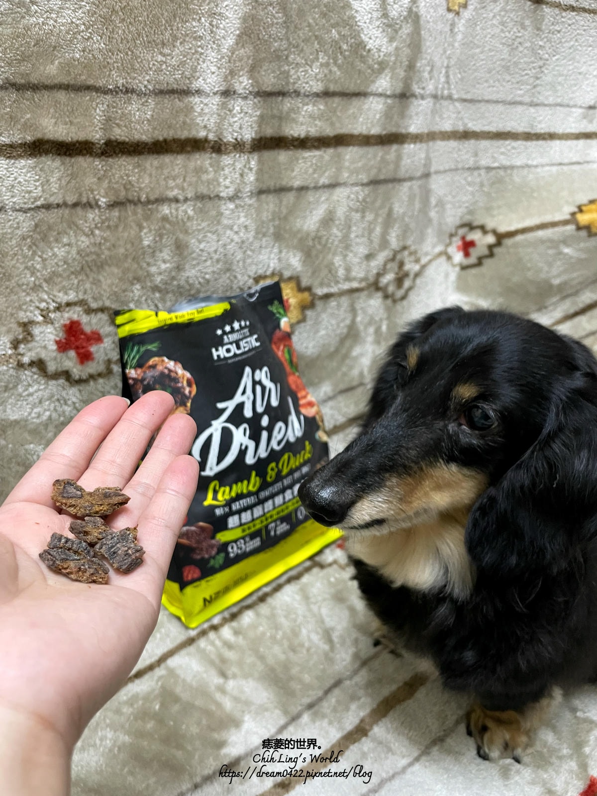 20251113-eczg9 20251113-eczg9