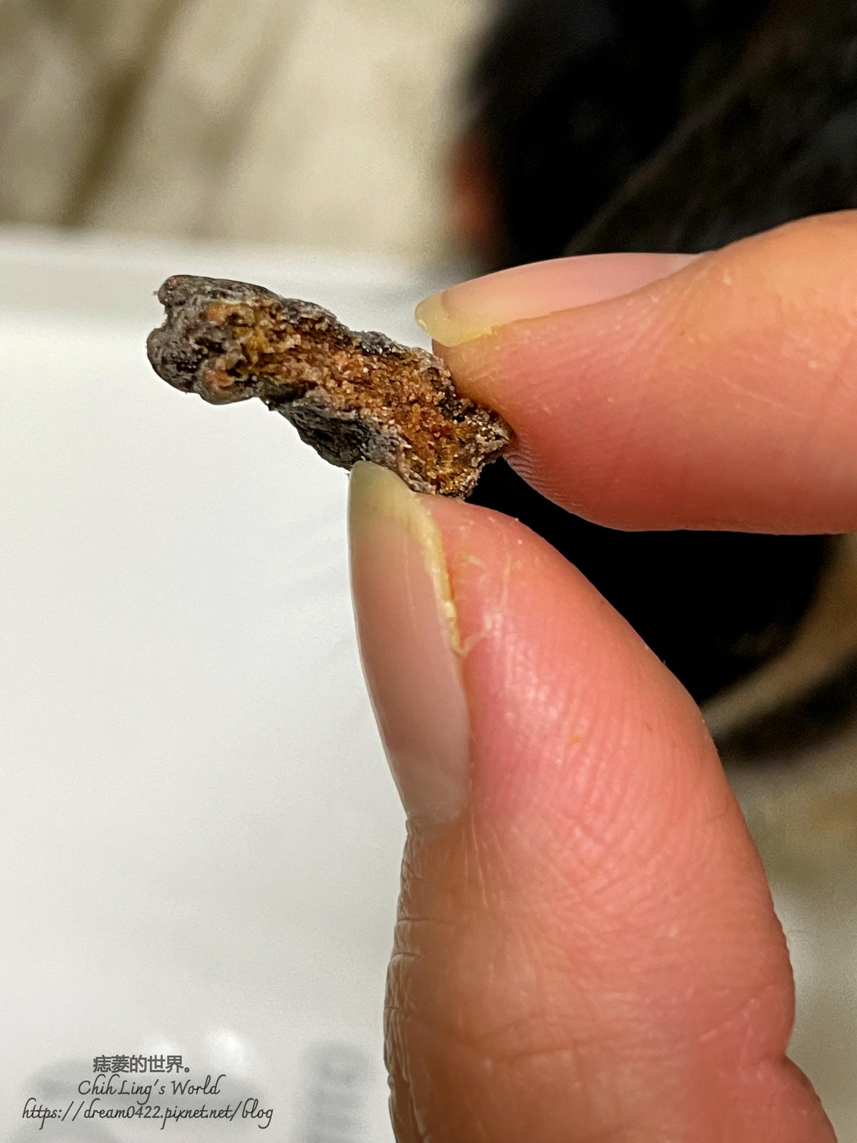 20251113-evhfr 20251113-evhfr