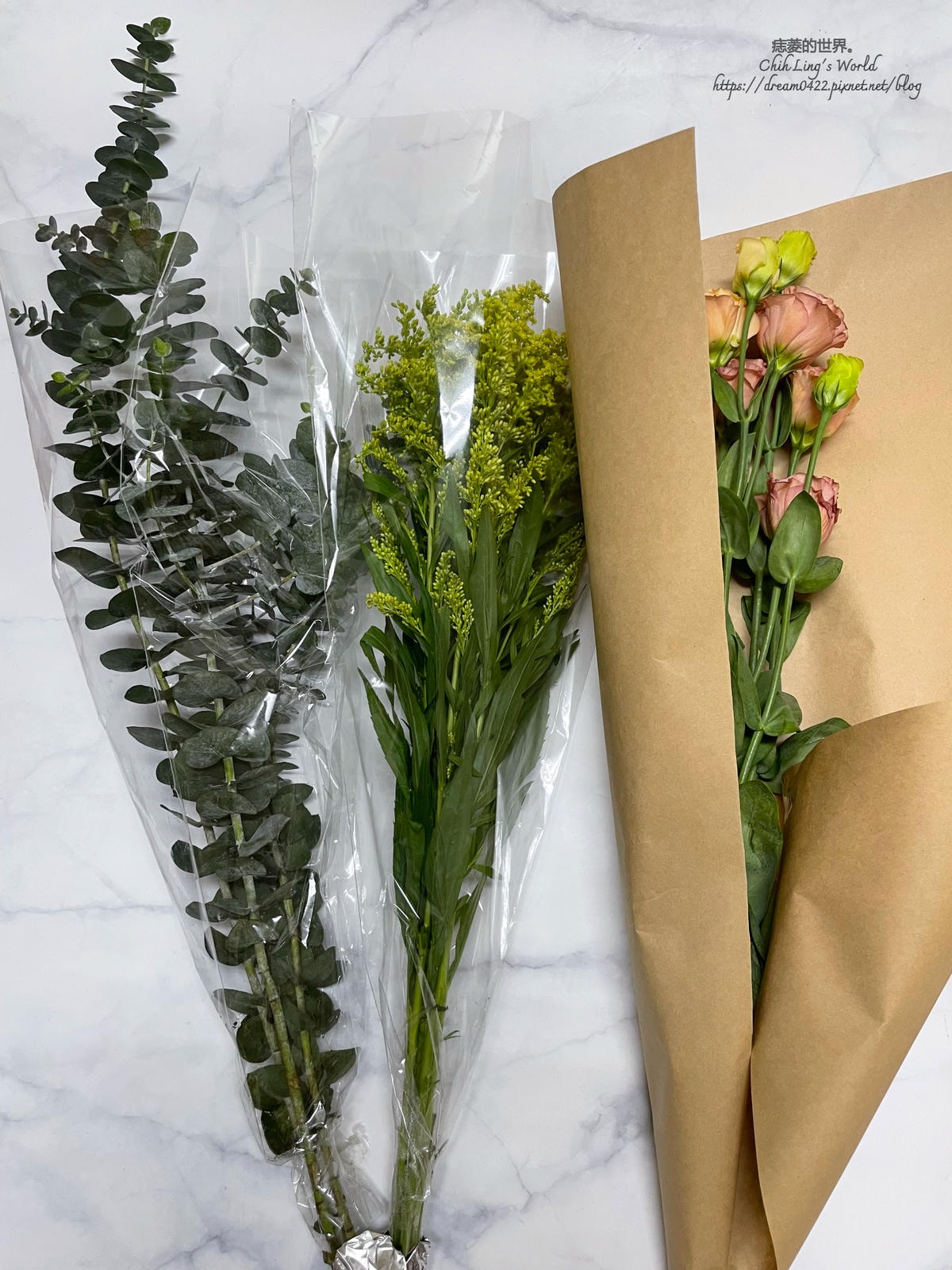 20251113-3yo7g 20251113-3yo7g