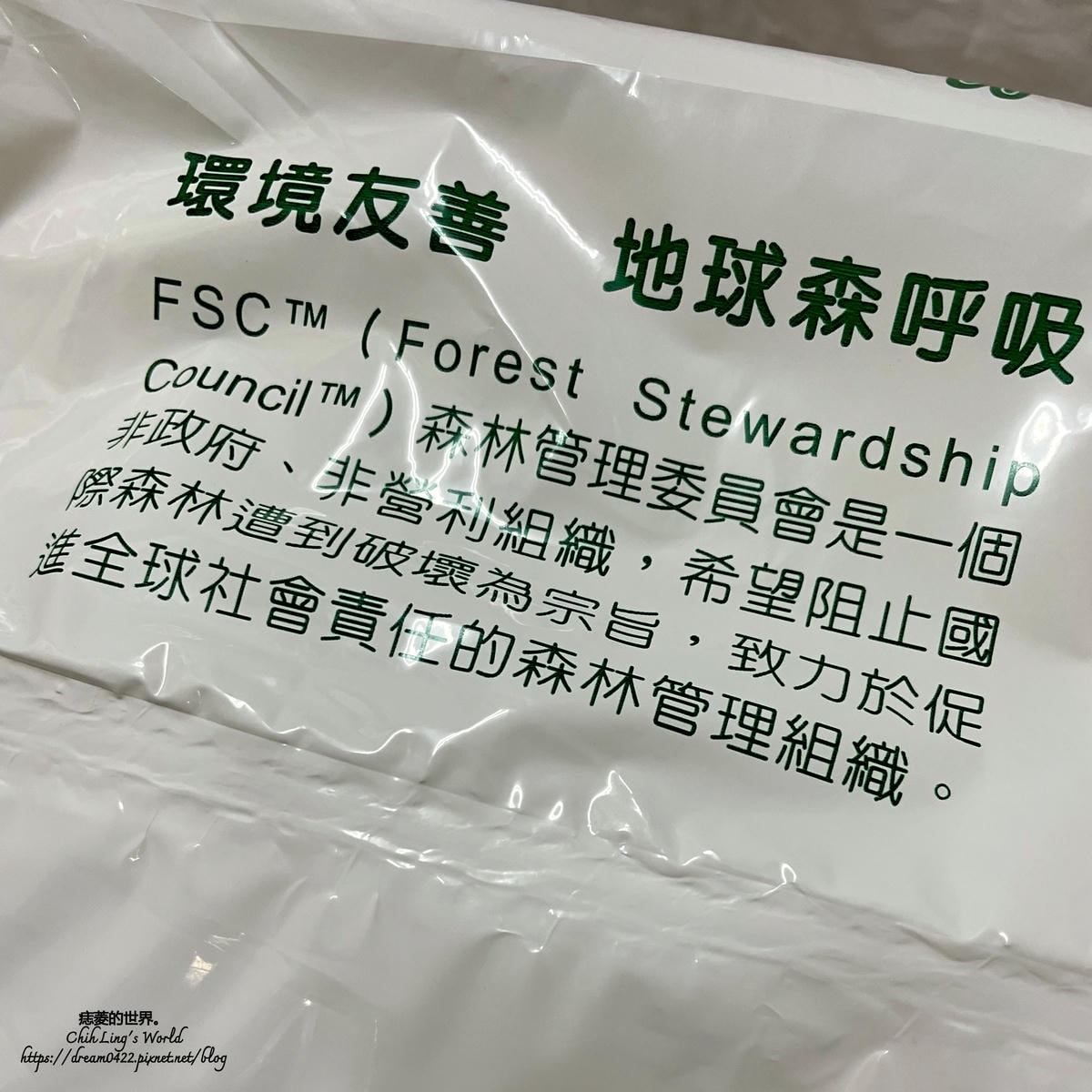 20251113-estff 20251113-estff